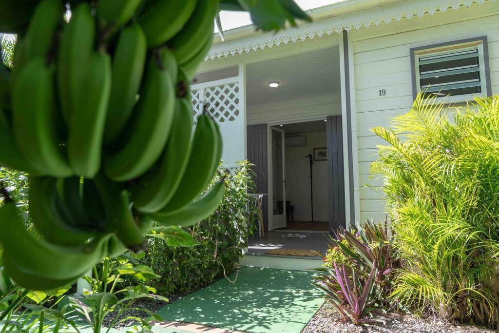 Perle Des Caraibes, Bungalow Moderne N°18 Le Gosier  Εξωτερικό φωτογραφία