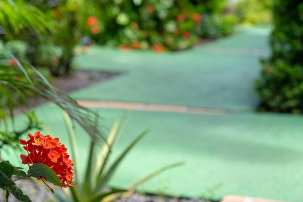 Perle Des Caraibes, Bungalow Moderne N°18 Le Gosier  Εξωτερικό φωτογραφία
